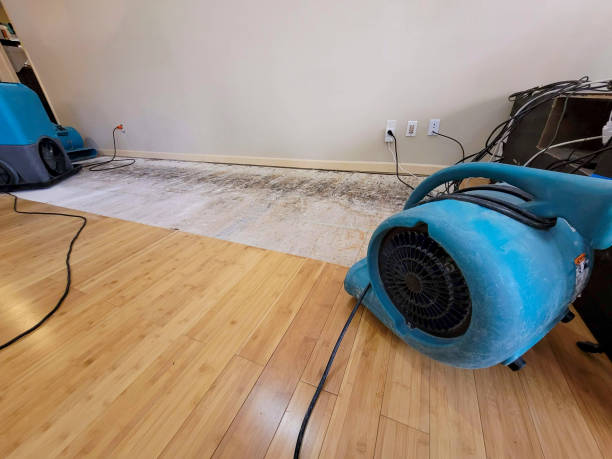 Professional Emergency Water Damage technician working in Kealakekua, HI